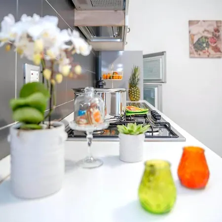 In Near Adriatic Coast 马帝斯兹罗