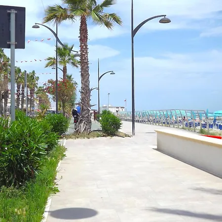 In Near Adriatic Coast