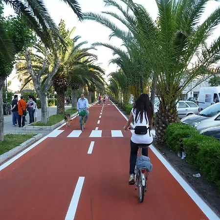 In Near Adriatic Coast 马帝斯兹罗