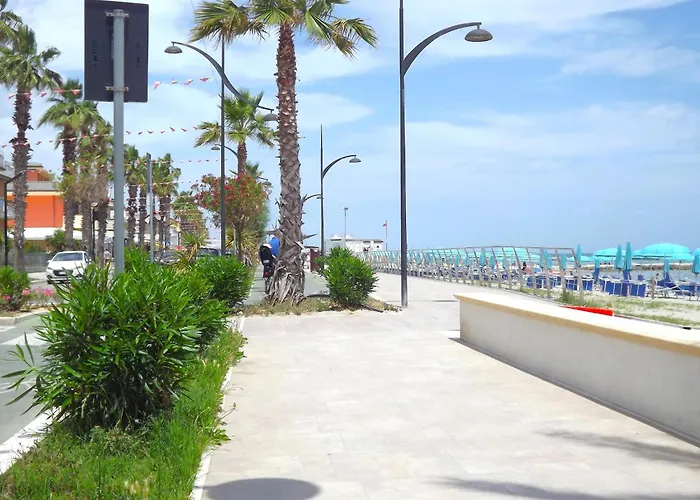 In Near Adriatic Coast